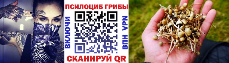 кракен ССЫЛКА  магазин    Котельнич  Псилоцибиновые грибы прущие грибы 